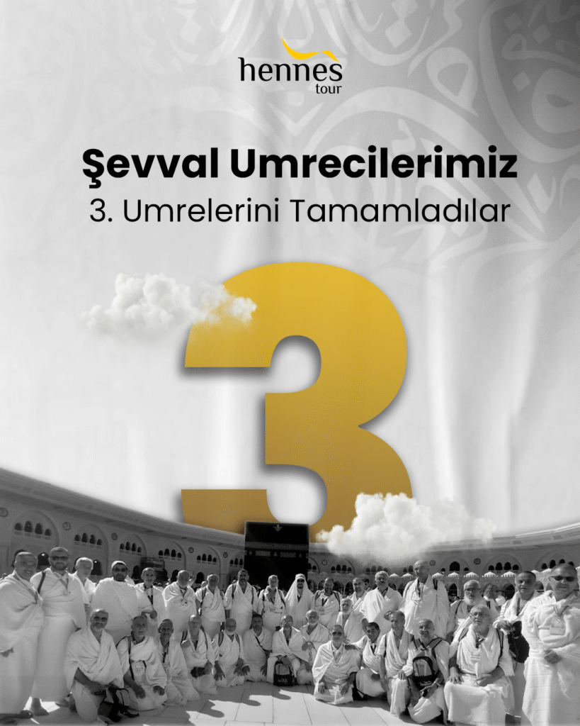 hnsvdd (4)